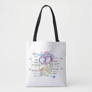 DITKI Heart Anatomy Tas