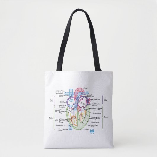 DITKI Heart Anatomy Tas (Voorkant)