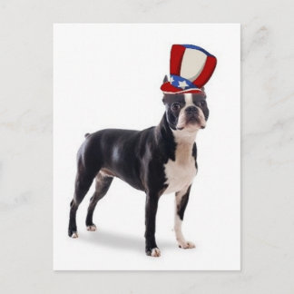 Ditzy Dogs~Original Briefkaart~Boston Terrier Briefkaart