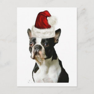 Ditzy Dogs~Original Briefkaart~Boston Terrier Briefkaart