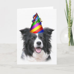 Ditzy Dogs~Original Notecard~Border Collie~B'day Kaart