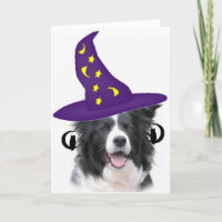Ditzy Dogs~Original Notecard~Border Collie