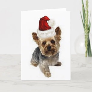 Ditzy Dogs~Original Notecard~Yorkie~Kerstmis Feestdagen Kaart