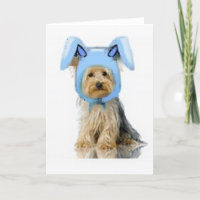 Ditzy Dogs~Originele briefkaart~Yorkie