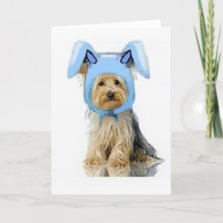 Ditzy Dogs~Originele briefkaart~Yorkie Feestdagen Kaart