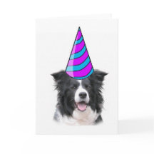 Ditzy Dogs ~ Wenskaart ~ Border Collie Verjaardag