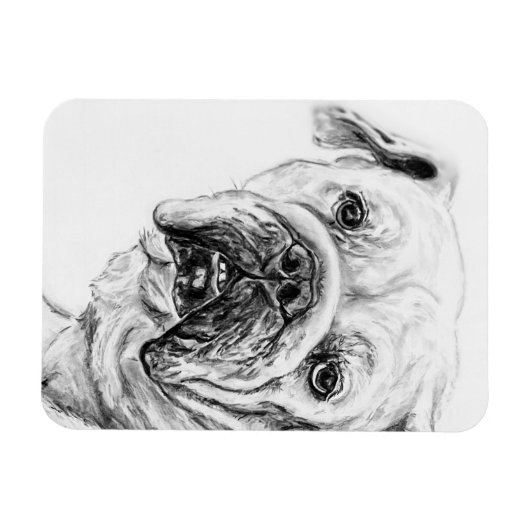 DIVA Blossom Magnet flexible (Horizontal)