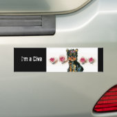 Diva Bumpersticker (Op auto)