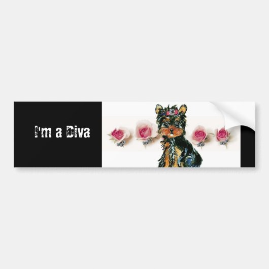 Diva Bumpersticker (Voorkant)