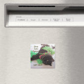 DIVA GIRL LOCKER MAGNET (In Situ (Lave-vaisselle))