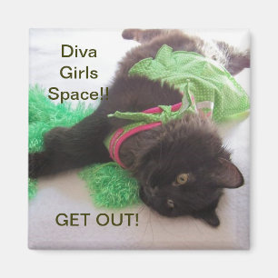 DIVA GIRL LOCKER MAGNET MAGNEET