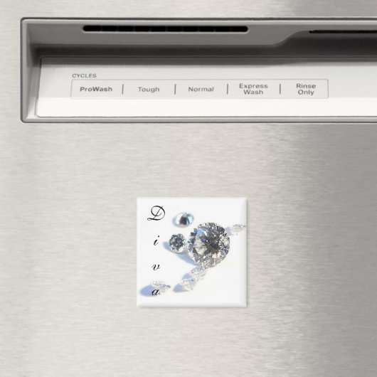 Diva Magnet (In Situ (Lave-vaisselle))