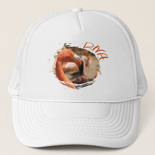 Diva Trucker Hat. Pet (Voorkant)