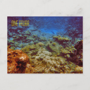 Dive Aruba-Briefkaarten Briefkaart