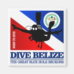 Dive Belize DF2 Magneet