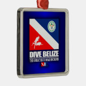 Dive Belize Metalen Ornament (Rechts)