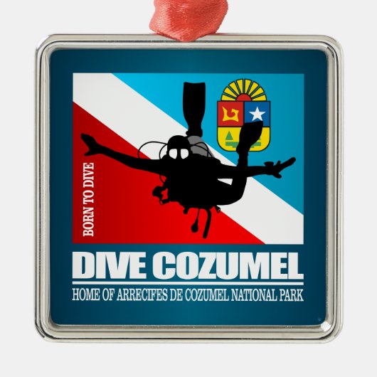 Dive Cozumel DF2 Metalen Ornament (Voorkant)