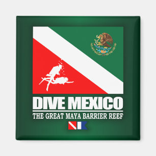 Dive Mexico (sq) Magneet