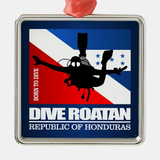 Dive Roatan DF2 Metalen Ornament (Voorkant)