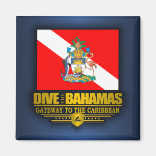 Dive the Bahamas 2 Magneet