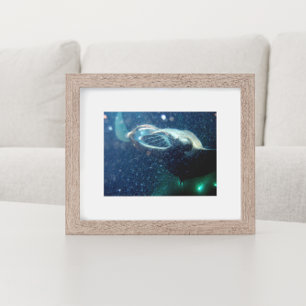 Dive with the Manta Rays - The Big Island Poster