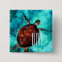 Dive Zee Turtle