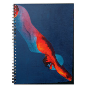 Diver 2011 notitieboek