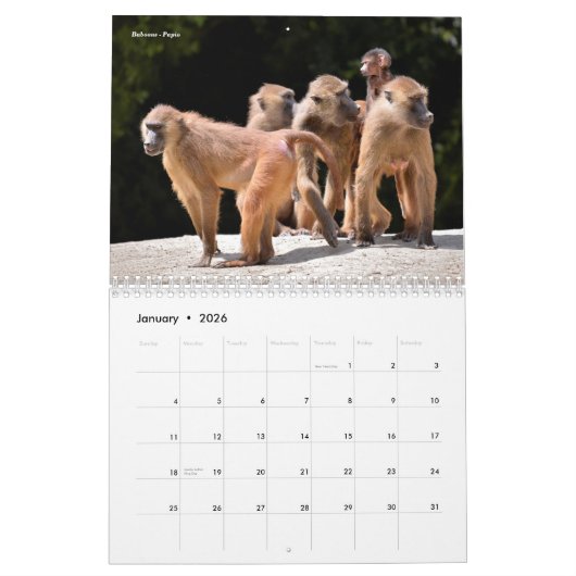 Divers animaux calendrier 12 mois (Jan 2026)