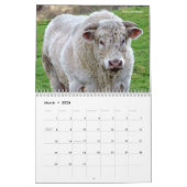 Divers animaux calendrier 12 mois (Mar 2026)