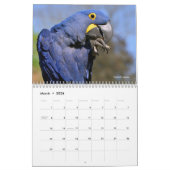 Divers animaux d'Amérique du Sud Calendrier 12 moi (Mar 2026)