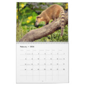 Divers animaux d'Amérique du Sud Calendrier 12 moi (Feb 2026)