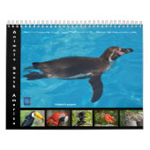 Divers animaux d'Amérique du Sud Calendrier 12 moi (Protection)