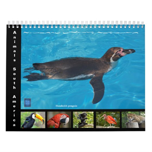 Divers animaux d'Amérique du Sud Calendrier 12 moi (Protection)