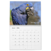 Divers animaux de l'Amérique du Sud Calendrier (Mar 2026)