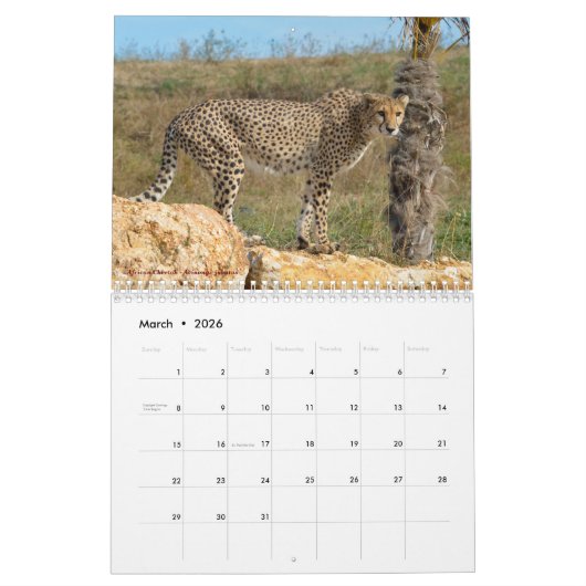 Divers calendrier des animaux (Mar 2026)