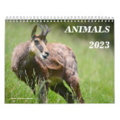 Divers calendrier des animaux (Protection)