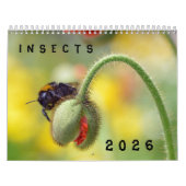 Divers calendrier des insectes (Protection)