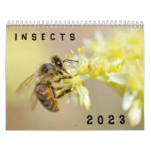 Divers calendrier des insectes (Protection)