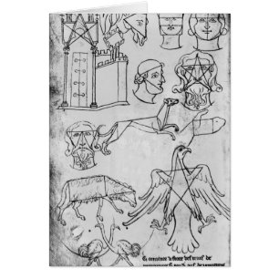 Divers dessins de Mme Fr 19093 fol.18v