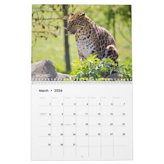 Divers grands calendriers comme des chats (Mar 2026)