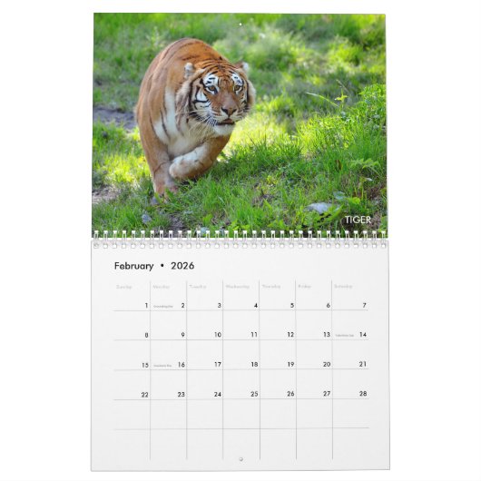 Divers grands calendriers comme des chats (Feb 2026)