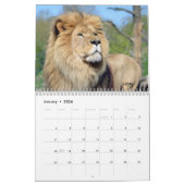 Divers grands calendriers comme des chats (Jan 2026)