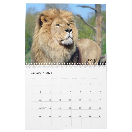 Divers grands calendriers comme des chats (Jan 2026)