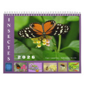 Divers insectes calendrier 12 mois (Protection)