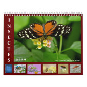 Divers insectes calendrier 12 mois (Protection)