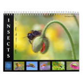 Divers insectes calendrier 12 mois (Protection)
