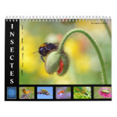 Divers insectes calendrier 12 mois (Protection)