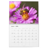 Divers insectes calendrier 12 mois (Mar 2026)