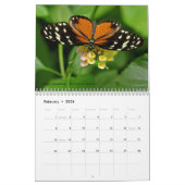 Divers insectes calendrier 12 mois (Feb 2026)