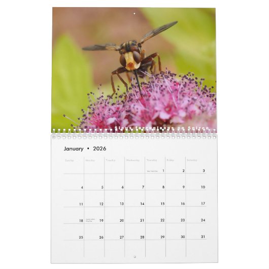 Divers insectes et fleurs calendrier 12 mois (Jan 2026)